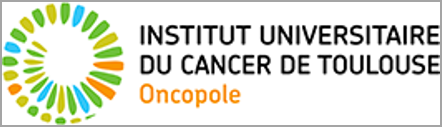 http://www.iuct-oncopole.fr/image/layout_set_logo?img_id=56888&t=1421234502961